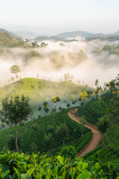 Haputale Sri Lanka