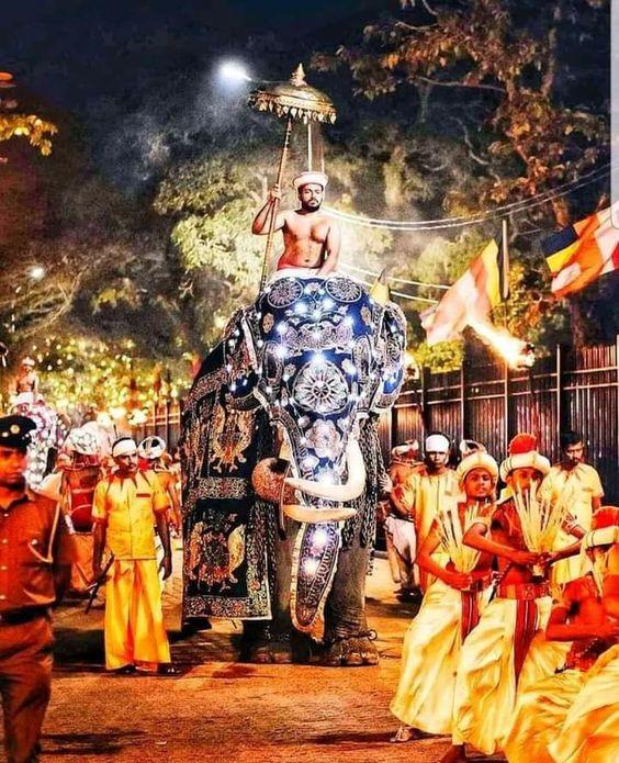 Kandy Perehera